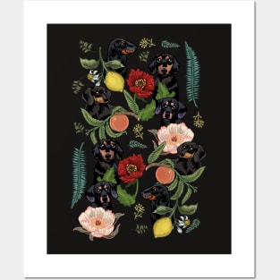 Botanical and Black Dachshund Posters and Art